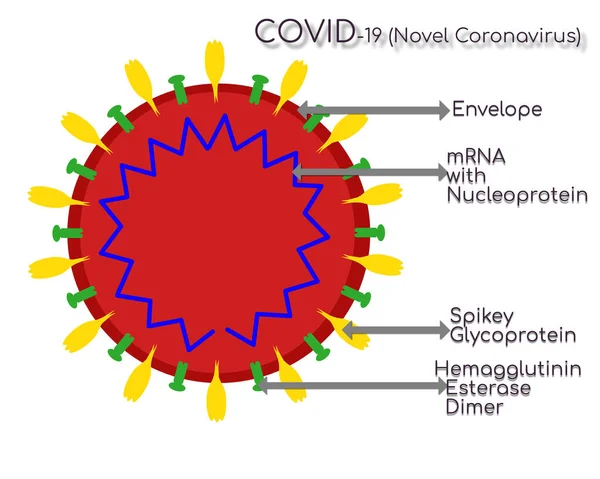 Struktura Covid Koronavirus Etiketami — Stock fotografie