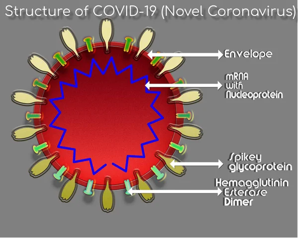 Structure Covid Coronavirus Labels — Stock Photo, Image