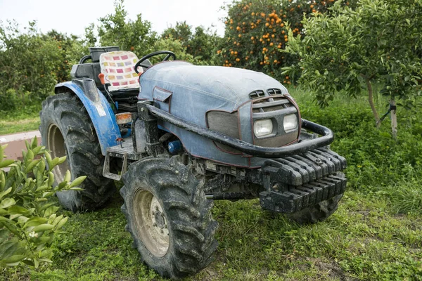 Bahçedeki çayırlarda eski mavi traktör