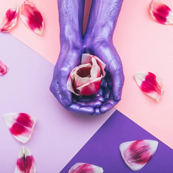 painted pearly purple hands with tulip flower among petals. ultra violet concept. beautiful pastel minimalism. fashion spring