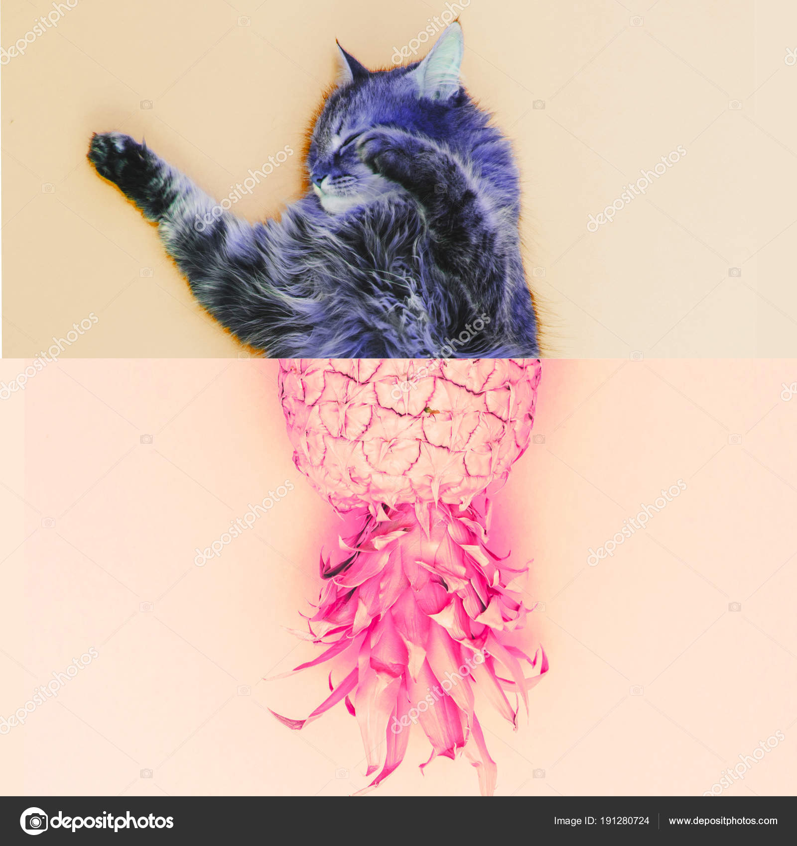 Yarım Bir Kedi Ananas Deli Fantastik Kolaj Minimal Sanat — Stok Foto