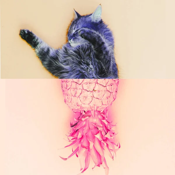 half a cat and pineapple. crazy fantastic collage. minimal art