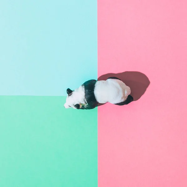 Miniature plastic panda on pink and turquoise background with strong shadow. Minimal art. Wildlife concept.