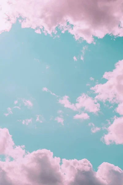 Lavender farm Wallpaper 4K, Pink sky, Evening, 5K, #11851