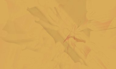 elegant abstract illustration for your wallpapers