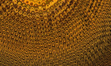 abstract colorful festive decoration. Shining pattern background 