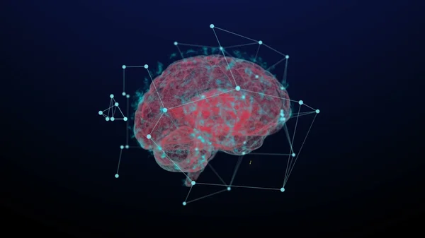 3D renderizado holográfico del cerebro humano Fotos De Stock Sin Royalties Gratis