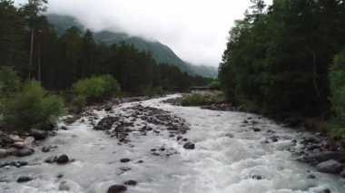 Bulutlu havada fırtınalı dağ nehri ve çam ormanı. Kuzey Kafkasya. Rusya