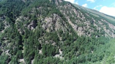 Yüksek dağ yamacı kozalaklı ormanlarla kaplıdır. Kafkas dağları. Rusya