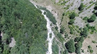Dağ nehri vadiden ve yüksek çam ağaçlarından geçiyor. Kafkas dağları. Rusya