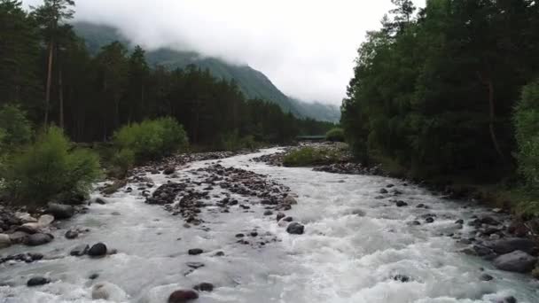 Tormentoso Río Montaña Bosque Pinos Clima Nublado Norte Del Cáucaso — Vídeos de Stock