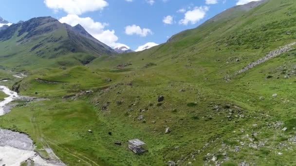 Valle Del Verano Día Soleado Norte Del Cáucaso Rusia — Vídeos de Stock