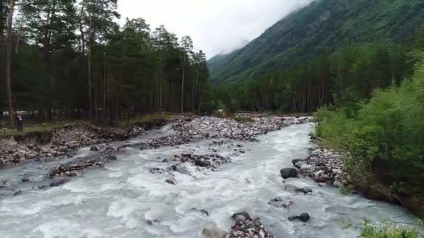 谷の背の高い松や山の川 北コーカサス ロシア — ストック動画