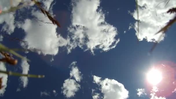 Nuvens Brancas Céu Azul Dia Sol Timelapse Cáucaso Norte Rússia — Vídeo de Stock