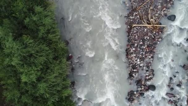 Bergrivier Het Midden Van Dennenbos Weg Kaukasische Bergen Rusland — Stockvideo