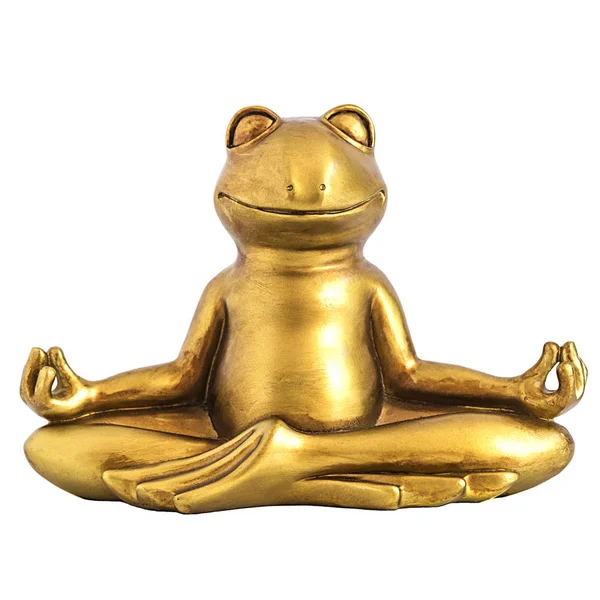 Žába Buddha meditoval v lotosu představují — Stock fotografie