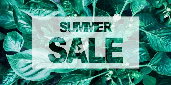 Yaz satış poster şablonu ile desen bırakır