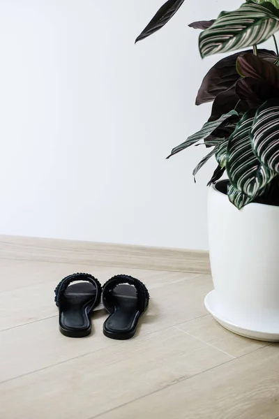 Woman's black elegant sandals minimalism concept — Stock Photo, Image