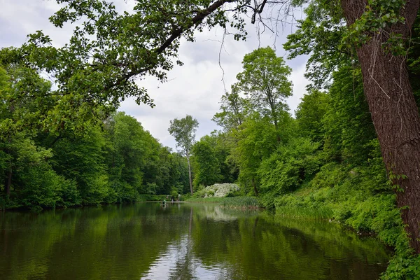 Paisagem de primavera com lagoa, grama verde e árvores. Parque "Oleksan — Fotografia de Stock