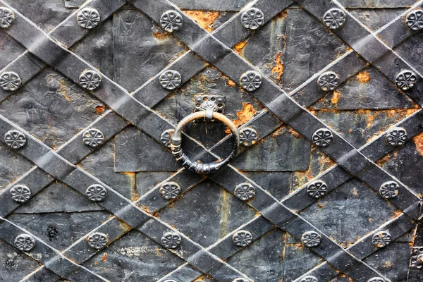 Alte schmiedeeiserne Tore. — Stockfoto © Iryna_L #188495536