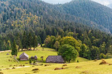 Dağ manzarası, sonbahar günü. Karpat Dağları, Ukrayna.