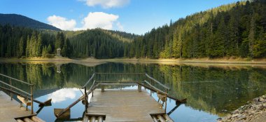 Dağ gölü Synevir, Ukrayna.