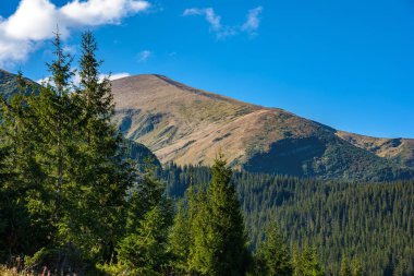 Hoverla dağın Karpat Dağları, Ukrayna, con görünümü