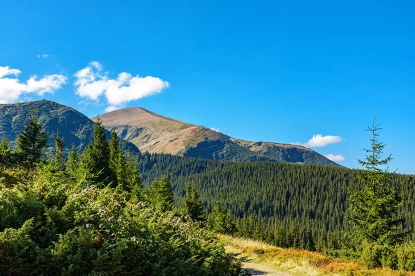 Vista da montanha Hoverla, Montanhas Cárpatas, Ucrânia, con — Fotografia de Stock