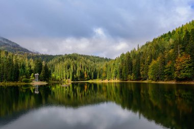 Sonbahar günü Synevir yüksek irtifa göl manzarası. Leaf fall 
