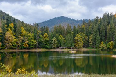 Sonbahar günü Synevir yüksek irtifa göl manzarası. Leaf fall 
