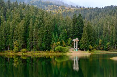 Sonbahar günü Synevir yüksek irtifa göl manzarası. Leaf fall 