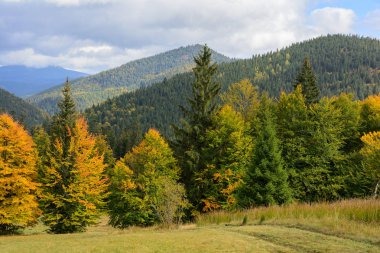 Dağlar ve sonbahar ormanda yaprak f Synevyr Gölü yakınındaki görünümü