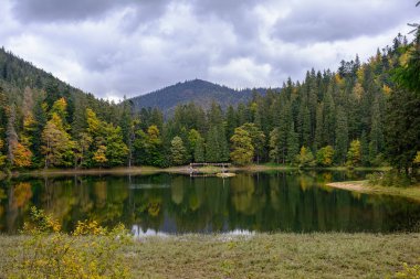 Sonbahar günü Synevir yüksek irtifa göl manzarası. Leaf fall 
