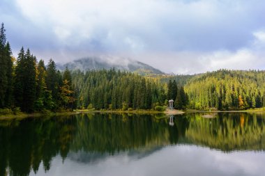 Sonbahar günü Synevir yüksek irtifa göl manzarası. Leaf fall 