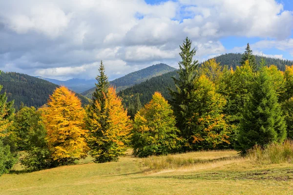 Dağlar ve sonbahar ormanda yaprak f Synevyr Gölü yakınındaki görünümü