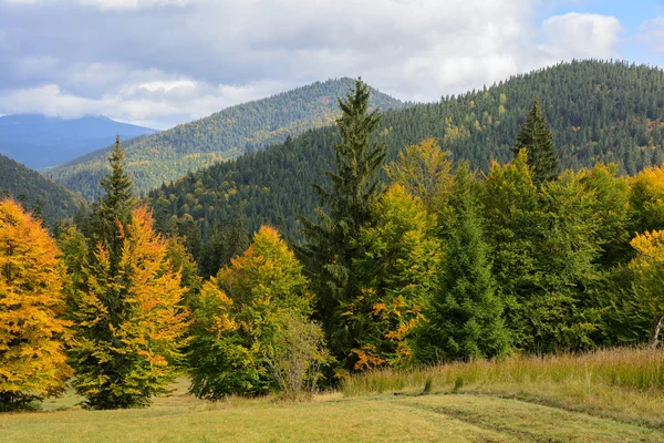 Dağlar ve sonbahar ormanda yaprak f Synevyr Gölü yakınındaki görünümü