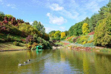 Ulusal Dendrology Park, Sofiyivka, Uman sonbahar renkleri