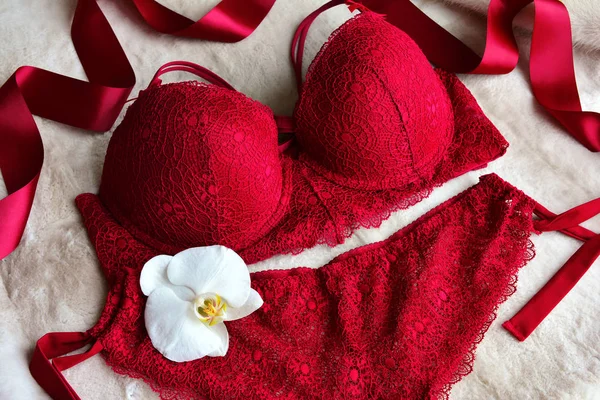 Women's lace sexy underwear of red, wine color: bra and panties. — Stock Photo, Image