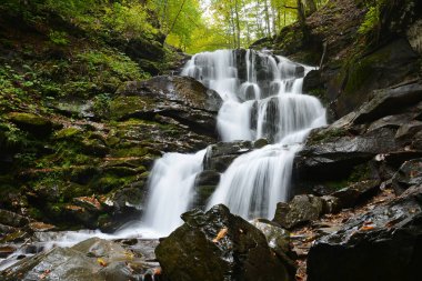 Şelale Shypit, art arda sıralı Pylypets sonbahar ormanın içinde. Sazan