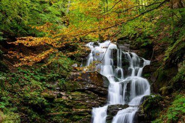 Şelale Shypit, art arda sıralı Pylypets sonbahar ormanın içinde. Sazan