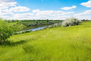 Manzara yeşil çayır, nehir ya da göl, mavi gökyüzü ve bulutlar.