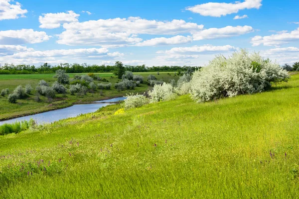 Paisagem prado verde, margem do rio ou lago, céu azul e nuvens . — Fotografia de Stock
