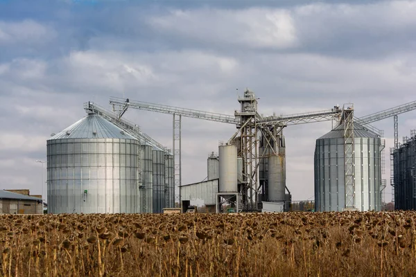 Metal tahıl Asansör tarım bölgesi.