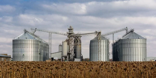 Elevador de grano metálico en zona agrícola . — Foto de Stock