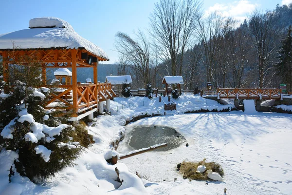 Parque de la ciudad cubierta de nieve de la ciudad de invierno en claro ingenio día soleado —  Fotos de Stock