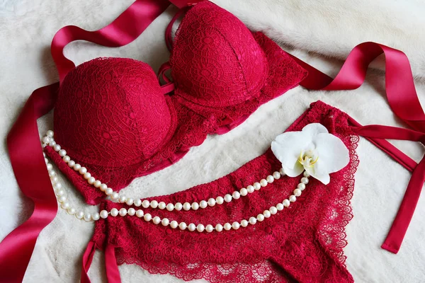 Women's lace sexy underwear of red, wine color: bra and panties. — Stock Photo, Image