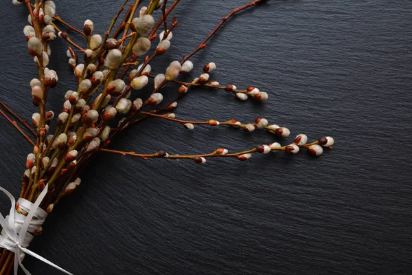 Willow twigs, siyah beyaz kurdele ile bağlı buket bahar 