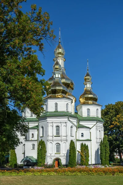 圣三位一体 Hustynskyi 修道院, 修道院, 修道院, 宗教 b — 图库照片