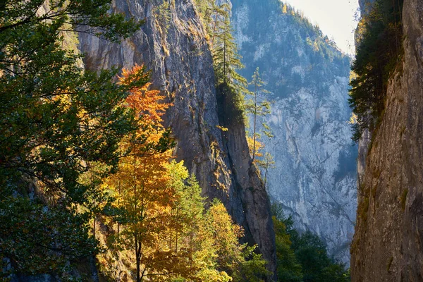 Lugar escénico Bicaz Gorge en las montañas de los Cárpatos, Rumania. Mañana soleada de otoño . — Foto de Stock