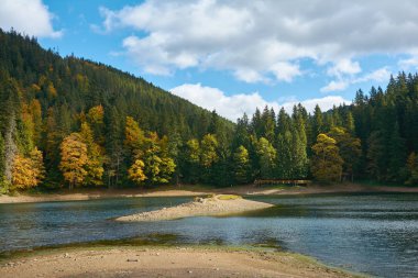 Sonbahar gününe kadar Synevir yüksek irtifa gölü manzarası. Yaprak düşer ormanlara, göle ve dağlara.